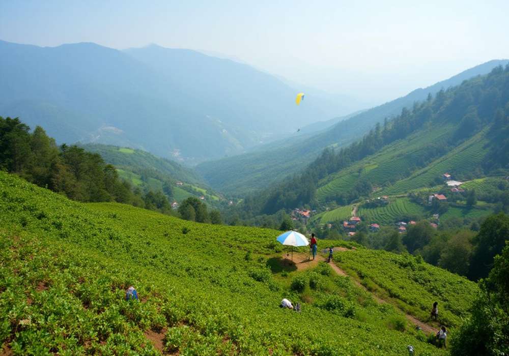 Things To Do In Panchgani